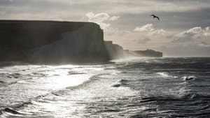 Donde está el paraíso — foto 7