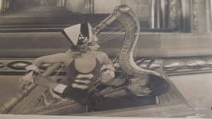 Kiki — foto 5