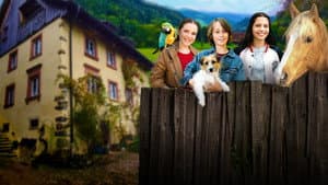 Tiere bis unters Dach — foto 1