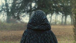 Retrato de una mujer en llamas — foto 12