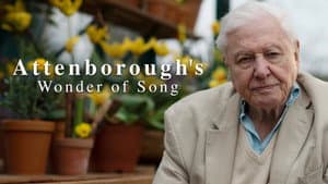 Attenborough's Wonder of Song — foto 4