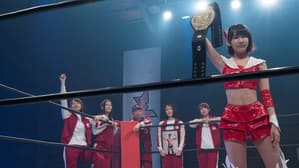 豆腐プロレス — foto 1