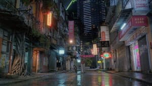 我愛扭紋柴 — foto 3