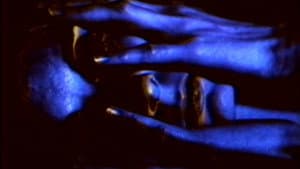 Witness — foto 1