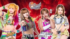 第15回 ゴッデス・オブ・スターダム ～タッグリーグ戦～ in HACHINOHE — foto 1