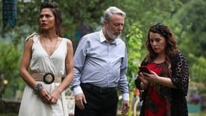 Episodio 42