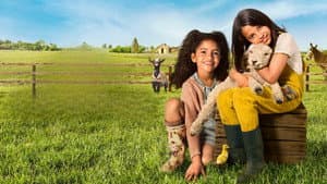 Nuestra pequeña granja — foto 11