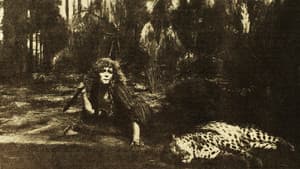 Lost in the Jungle — foto 1