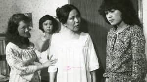 휘청거리는 오후 — foto 1