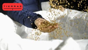 Episodio 10