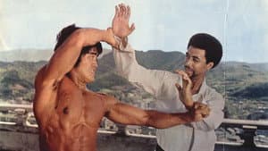 唐山虎威殲殺手 — foto 1