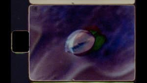 Seeds — foto 2