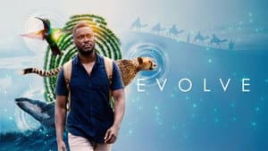 Evolve — foto 1
