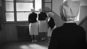 Las enfermeras de Evita — foto 1