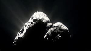 The Comet — foto 2