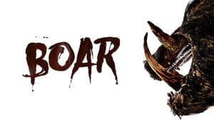 Boar — foto 7