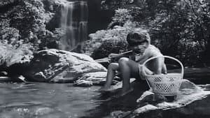ಟ್ಟದ ಹೂವು — foto 1