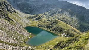 Wilde Schweiz — foto 1
