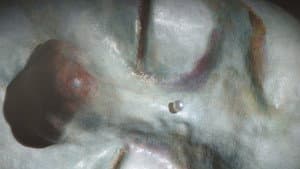 La jeune fille qui pleurait des perles — foto 10