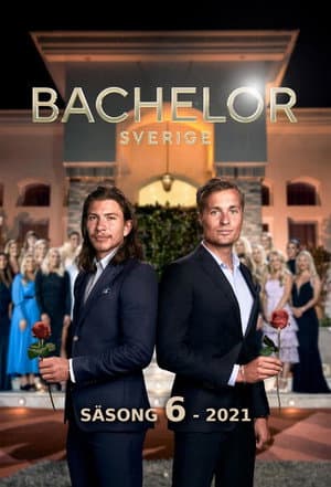 Temporada 6