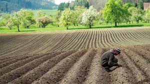 Unser Boden, unser Erbe — foto 6