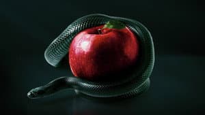 Bible Secrets Revealed — foto 1