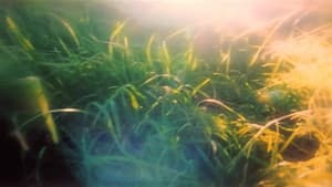 It's Such a Beautiful Day — foto 7