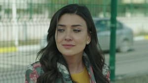 Episodio 19
