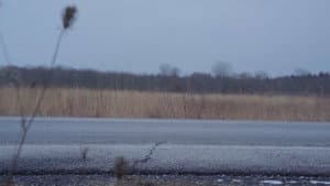 One Time Thing — foto 11
