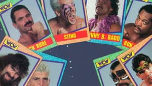 WCW Starrcade 1992 — foto 1