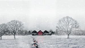 Snow Falls — foto 1