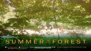Summer in the Forest — foto 1