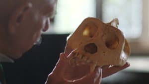 Episodio 6