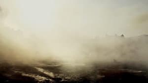 White Noise — foto 3
