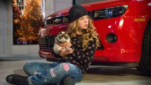 Grumpy Cat's Worst Christmas Ever — foto 7