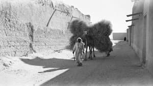 الفرج بعد الشدة — foto 1