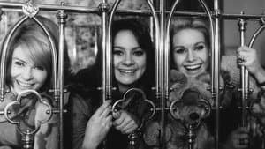 The Pleasure Girls — foto 2