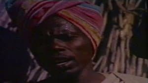 Africa ama — foto 1