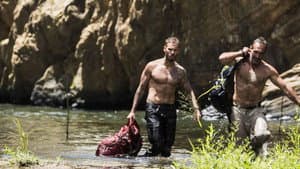À l'état sauvage — foto 1
