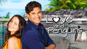 Love and Penguins — foto 1