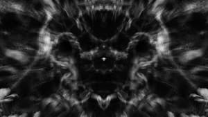 Meditations in Black and White I: Roots — foto 2