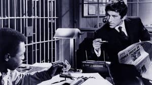 The Lawyer — foto 1