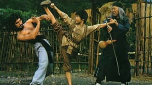 睡拳怪招 — foto 1