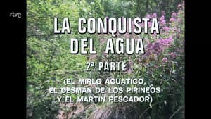 Episodio 62