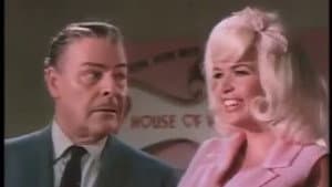 The Fat Spy — foto 1