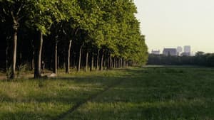 Le bois dont les rêves sont faits — foto 1