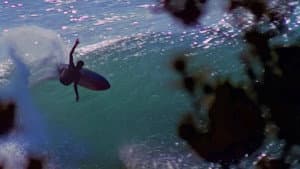 Psychic Migrations — foto 2