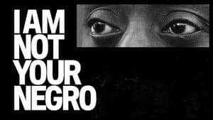 I Am Not Your Negro — foto 2