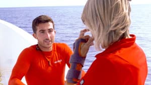 Episodio 14