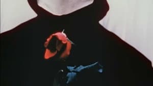 The Assignation — foto 8